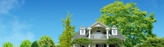 Listing Home Agent in Brampton Caledon Mississauga